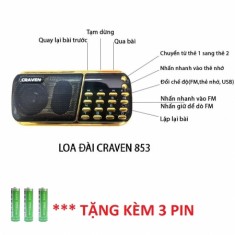 LOA CRAVEN CR-853 3 PIN